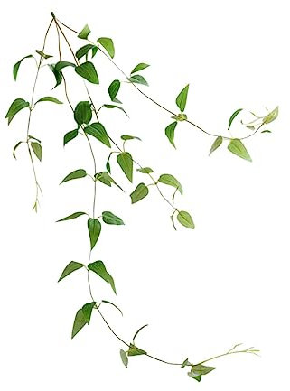 HOLIDYOYO 1pc Lifelike Decorative Artificial Clematis Vine Plant for Home and Garden Decor No Watering Required for Hanging Baskets and Pergolas Leaves