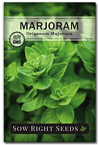 Sow Right Seeds - Marjoram Seeds for Plantin - Non-GMO Heirloom Packet with Instructions to Grow A Beautiful Herb Garden - Plant Indoors and Outdoors - Savory Culinary Herb in The Kitchen (1)