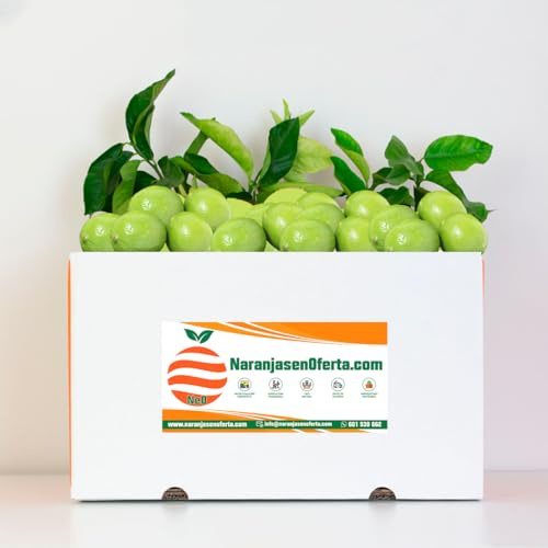 LIMAS ORIGEN VALENCIA. FRUTA FRESCA RECIEN RECOLECTADA (5KG)