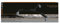 Camlink CL-DOLLY10 Carrello Dolly per Treppiede, Nero