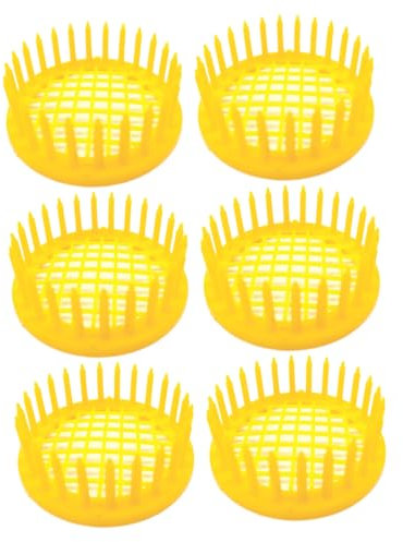IWOWHERO 6stücke Teiliges Kunststoff Bienenkönigin Aufzucht Käfig Langlebig Sicher Bienenzucht Werkzeug Praktische Bienenaufzucht Hilfe Für Imkereibedarf