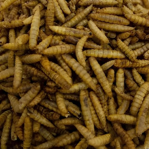 Leagrams Calci Worms for Wild Birds (5kg)