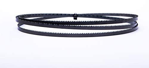 Encut Hoja de sierra de cinta de alto rendimiento, 1425 x 10 x 0,65 mm, 6 ZpZ, acero HSS para herramientas Güde GBS200, etc.