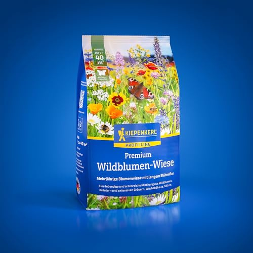 Kiepenkerl Wildblumenwiese 1089072, Rasensaat