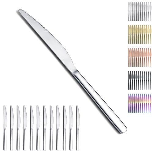Evanda Set di coltelli da bistecca 12 pezzi, coltelli da tavola in acciaio inox, set di coltelli da burro posate Set di argenteria, set di posate, lavabile in lavastoviglie