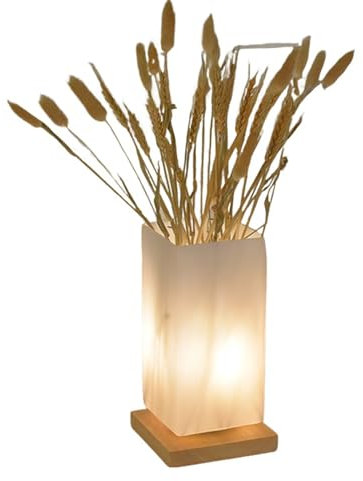 Meichoon Jarrón Lámpara de Mesa USB Enchufable Pantalla de Vidrio Esmerilado Lámpara de Mesilla de Noche Decorativa Dormitorio Sala de Estar Oficina Hogar LE24 A