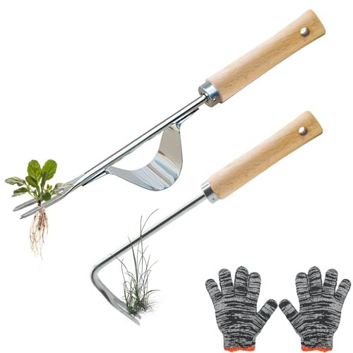 NVGVUP 2 Stück Unkrautstecher Edelstahl, Handjätgerät für den Garten, Wurzeljäter mit Holzgriff, Manueller Weeder zum Graben Umpflanzen Jäten Lösen, für Rasenflächen Garten, mit 1 Paar Handschuhe