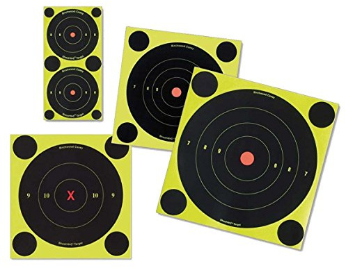 BIRCHWOOD CASEY Shoot-N-C 6 Bull's-eye Target - 12 targets Bullet holes are revealed with bright chartreuse rings, Self-adhesive backing makes easy to put up