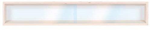 Alsino Sammlervitrine Setzkasten Wandvitrine (V-60.1) Vitrine Spur HO & N Regal H0 60 cm 1 Fach