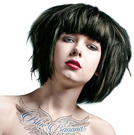 La Riche Directions Colour Hair Dye 88ml (Ebony Black)