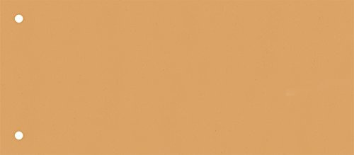 Brunnen 106604040 Lot de 100 bandes de séparation en carton perforées Orange 10,5 x 24 cm