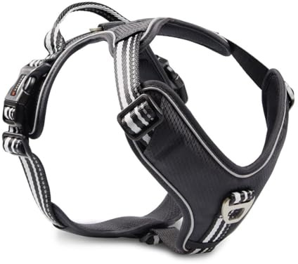 Wolters Geschirr Active Pro, Größe:80-95 cm, Farbe:schwarz/schwarz