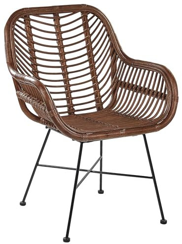 Gartenstuhl Rattanstuhl Balkonstuhl Bistrostuhl Gartenmöbel braun Canora