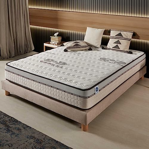 Naturalex - Materasso Matrimoniale 160x190 cm - Altezza 26 cm - Visco-Carbone - Schiuma Memory HR e Lattice Blu - Ergonomico, Semisolido, Ipoallergenico, Ventilato - Lato Invernale ed Estivo