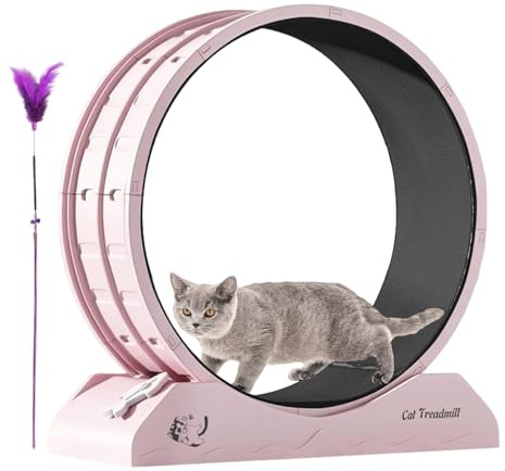 yakermur Rueda de ejercicio para gatos, equipo de entrenamiento silencioso para gatitos, cinta de correr anticaídas, ruedas de entrenamiento para gatos de interior
