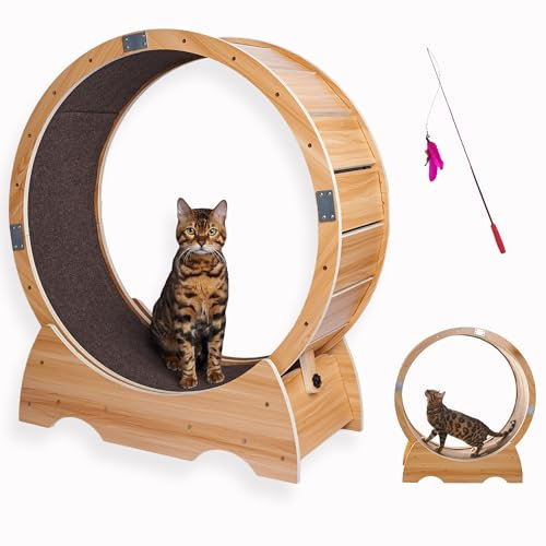 Laufrad Katze groß | Katzenrad | Laufband für Katzen | großes Cat Running Wheel für Wohnungskatzen | Cat Wheel Beschäftigungsspielzeug für Katzen Drinnen