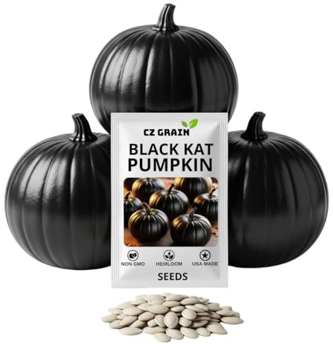 Exotic Black Kat Pumpkin Seeds for Planting (10 Seeds) – Deep Black, Smooth-Skinned Pumpkins – Rare Decorative Variety for Fall Gardens, Halloween Displays & Autumn Décor
