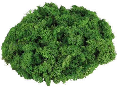 com-four® 500g Deko-Moos - DIY Bastel-Moos - echtes Deko-Moos zum Basteln und Dekorieren - Naturmoos für Bastelprojekte (Deko-Moos - 500g)