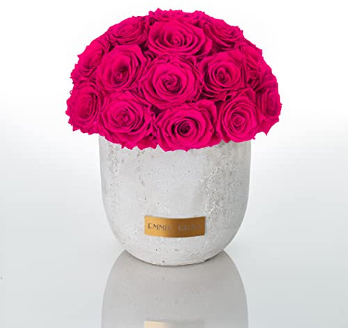 Solid Infinity Collection – Drömlika Infinity rosor, 1–3 års hållbara rosor, betongvas med äkta, konserverade rosor, ädla premiumrosor – storlek M (Hot Pink)