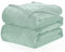 WAVVE Kuscheldecke Flauschig Decke Fleecedecke - Sofadecke Salbei-Grün 220x240 cm Wohndecke Couchdecke Weich, XXL Groß Decke Sofa Leicht