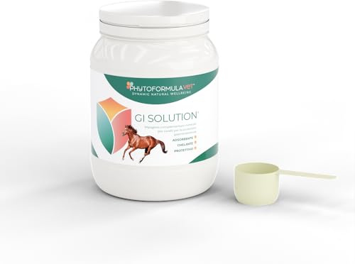 RIMOS GI Solution Mangime complementare per Cavalli, a Base Minerale - Indicato per la Protezione Gastro-intestinale - 1 kg