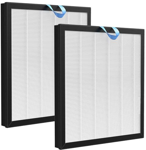 Vital 100S Ersatzfilter kompatibel mit LEVOIT Vital 100S HEPA Luftreiniger, 2 Pack H13 HEPA Filter und Aktivkohlefilter für Vital 100s Modellnummer LAP-V102S-WEU