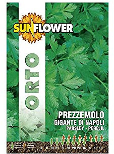SEMENTI PREZZEMOLO GIGANTE DI NAPOLI SUNFLOWER (Cf 20)