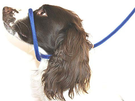Dog & Field Figure 8 Anti Pull Lead/Halter/Head Collar - One Size Fits All - Soft Braided Nylon - Comfortable, Supple, Secure and Proven to Make Your Walks More Enjoyable - No More Pulling! (Blue)