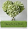 YalzoneMet 3 hortensias Artificiales de Tacto Real de Color Verde Claro, 21 Pulgadas, hortensias Artificiales de Seda de látex para decoración del hogar, Boda, arreglo Floral