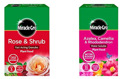 Miracle-Gro Rose and Shrub Fast Acting Granules Plant Food, 3 kg and Azalea, Camellia & Rhododendron Soluble Plant Food, 1 kg