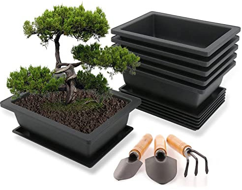 Kdtoll Bonsai Schale mit Untersetzer, 6 Stücke Bonsai Topf, Bonsai Trainingstöpfe aus Kunststoff, 16x12x6cm Blumentopf Rechteckig Set, Plastik Bonsaischale mit Tablett und Mini Gartenwerkzeug Set