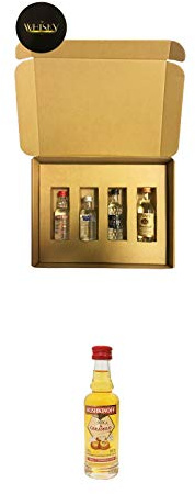 Vodka Geschenkbox mit 4 x 0,05 Liter Absolut, Smirnoff, Three Sixty, Titos + Rushkinoff Vodka & Caramel 0,04 Liter MINIATUR