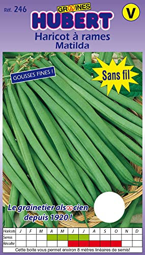 Graines de Haricot à rames Matilda - 125 grammes