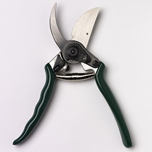 Burgon & Ball RHS empfohlene professionelle Bypass-Gartenschere, 22 cm Länge