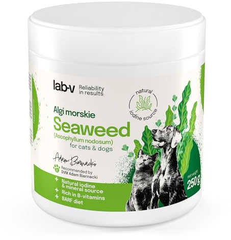 Lab-v Barf farina di alghe – 100% Ascophyllum nodosum – per cani e gatti – mangime singolo – 250 g