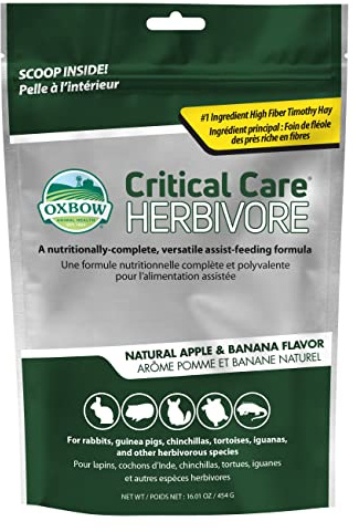 Oxbow Critical Care Herbivore, Emergency Rabbit & Guinea Pig Food, Natural Apple Banana Flavor, Critical Care Herbivore, Assist Feeding Formula for Pets, 454 gram bag