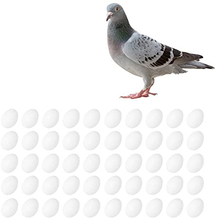 GAESHOW 50 Pcs Faux Œufs de Pigeon, Faux Œufs de Pigeon Solides, Oeufs de Pâques en pour Peindre ou Couvrir 3.8 cm, Eclosion Élevage Fournitures Faux Oeufs