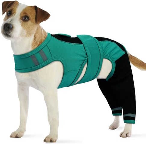 PUMYPOREITY Hundbody med ben, hundbody, bakben, hundar, kropp, hande, bandage bakben, hundlår, skydd (grön, S)