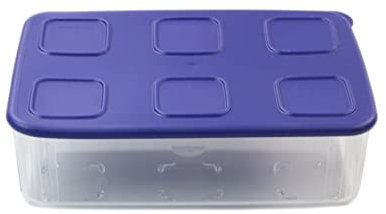 Tupperware Contenitore per frigorifero Clear Mates, 1,6 l, colore: blu chiaro