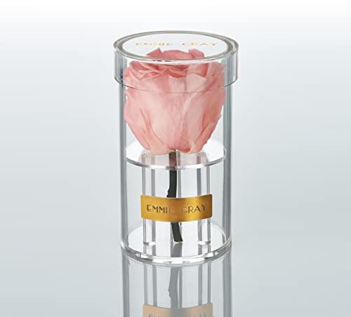 EG EMMIE GRAY Crystal Infinity | Akryl | – Fantastisk Infinity Rose, 1–3 års hållbar ros, akrylburk med äkta, konserverad ros, ädel premiumros (antique rosa)