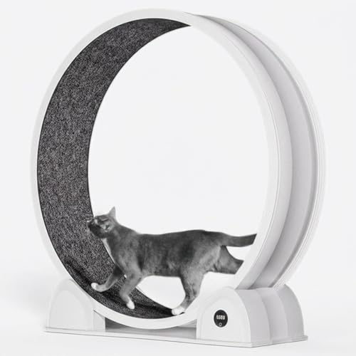 Garvee Roue d'exercice pour Chat 114 cm avec Compteur de Pas