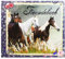 Depesche 7851 - Freundebuch Horses Dreams, sortiert