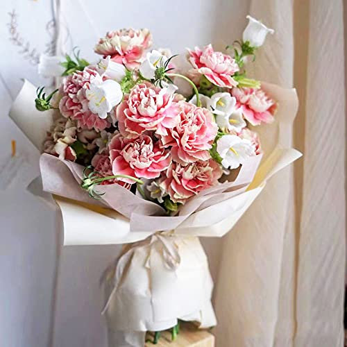 20 Stück bartnelken samen mehrjährig Nelken Nelke - Seltene Pflanze serie - robuste balkonpflanzen winterhart wiesenblumen samen saatgut alte sorten gastgeschenk blumensamen