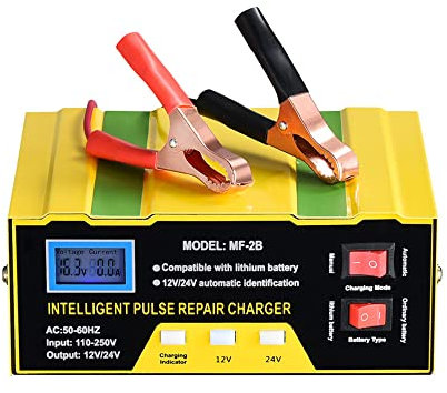 Shkalacar Caricabatterie per Auto, 12V / 24V Dispositivo di Carica per la Riparazione di impulsi Intelligenti Manutentore di Mantenimento della Batteria per autoveicoli