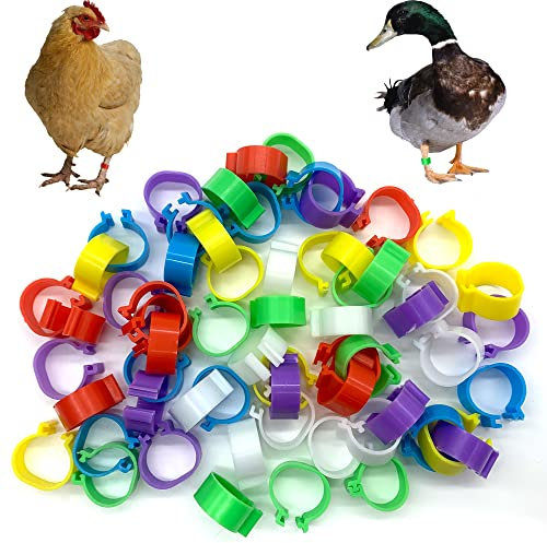 DHER Geflügel Fußringe Hähnchen Beinringe Poultry Beinringe 60 Stück 16 mm Bajonett-Identifikation Hühnerfußringe, 6 Farben Hühnerfußringe, Geflügelfußringe, Markierungshähnchen-Klippringe