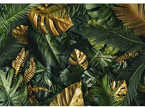 Runa Art Papier peint intissé feuilles tropicales Monstera 352 x 250 cm Toison Mur XXL Tableaux Muraux Tapisserie Photo Décoration Murale Salon Chambre vert or 9591011a