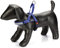 Karlie Art Sportiv Premium, Hundegeschirre, Nylon, Blau, 72-90x3 cm