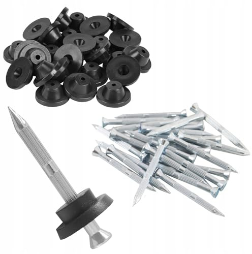 100 chiodi di tenuta per boccole – Lunghezza chiodo 45 mm – Chiodi di montaggio/bottoni di montaggio per pellicola con drenaggio edilizia, vasi di fiori, pareti del seminterrato – diametro del disco
