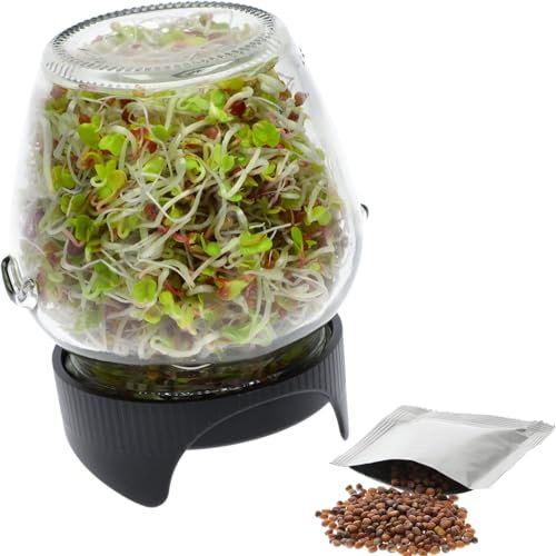 BROWIN® Sprossenglas zur Anzucht von Keimsprossen 745747 | 580 ml Keimglas mit Gitterdeckel | Keimgerät für Kresse Samen, Alfalfa Sprossen, Rucola Samen | inkl Rettichsamen