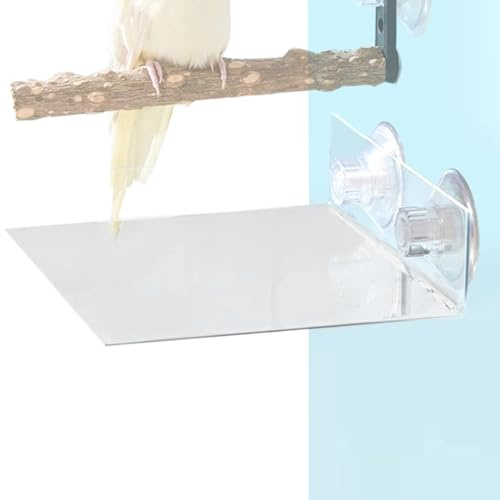 Bandeja de alimentación para Aves - Plato Acrílico Transparente para Residuos - Plano para Aves con | Jardín Patio Terraza Balcón Hogar